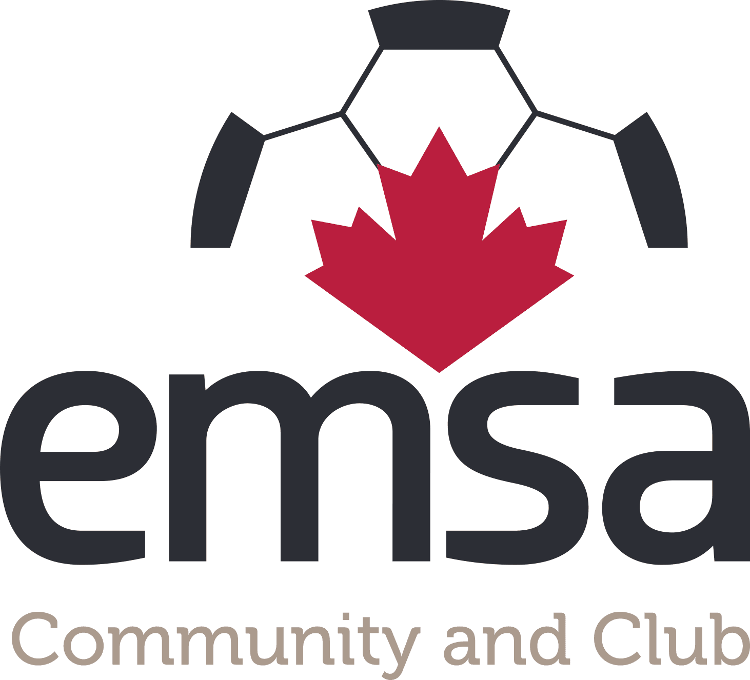EMSA Futsal League tournament logo